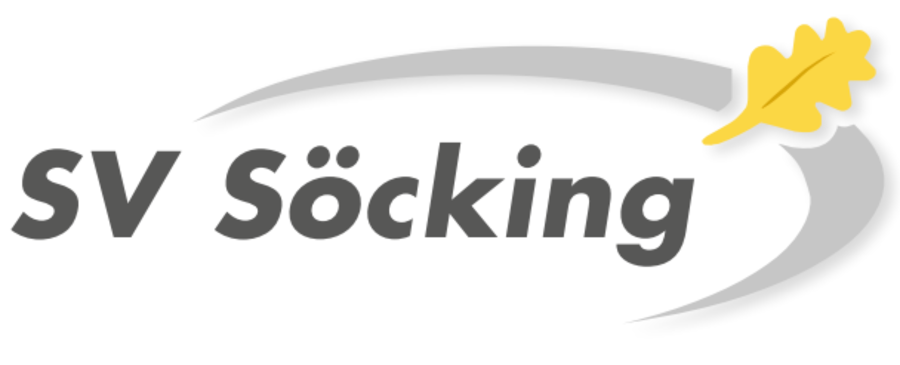 SV Söcking